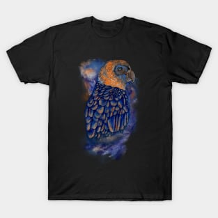 Celestial T-Shirt